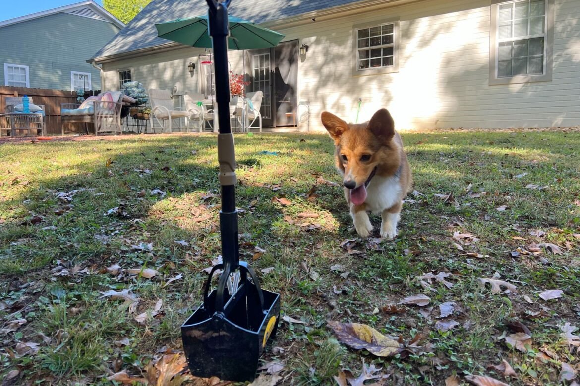 The Ultimate Guide to Choosing and Using a Pooper Scooper