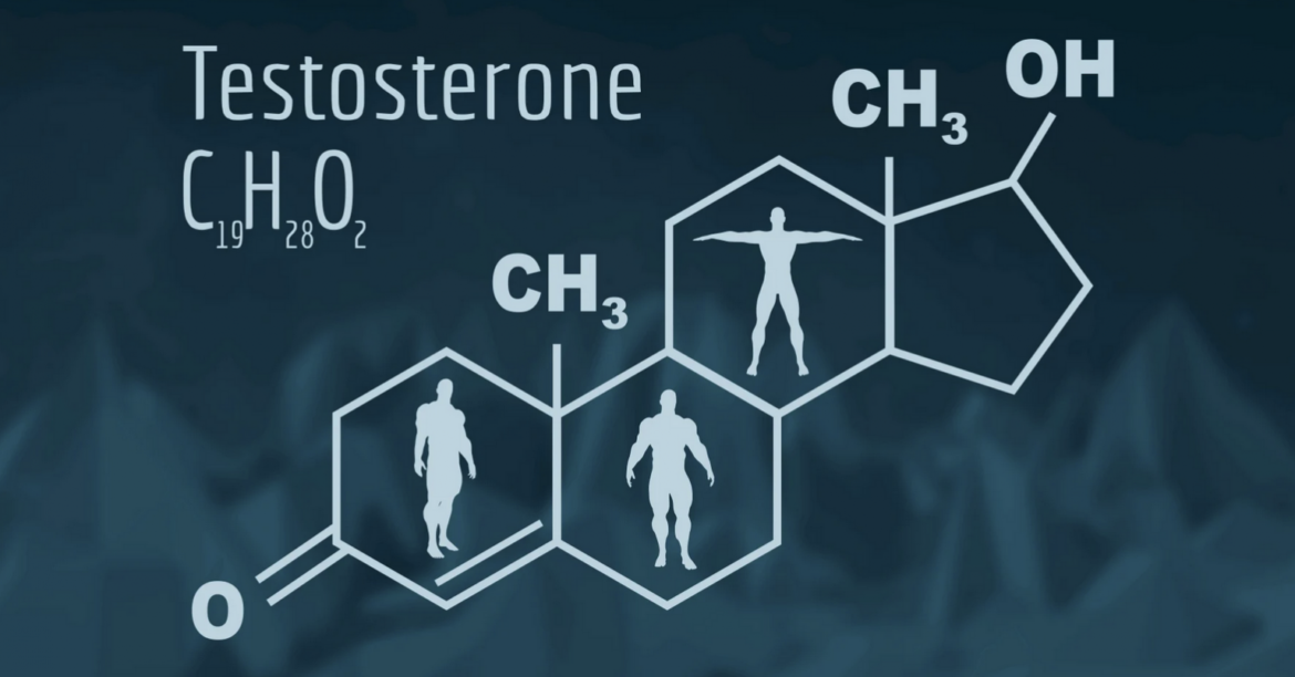 How TRT Tracking Helps Improve Hormone Balance and Results