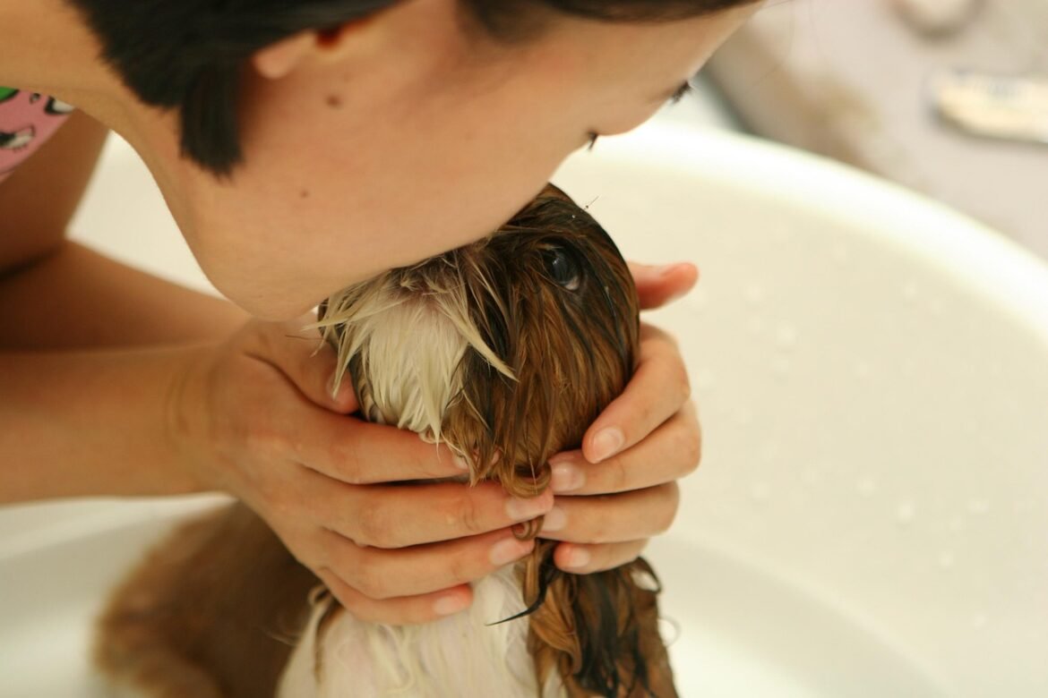 The Importance of Choosing Healthy Dog Treats
